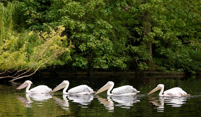 圖集│一周圖觀世界
