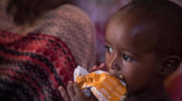 全球1.55億人面臨重度糧食不安全