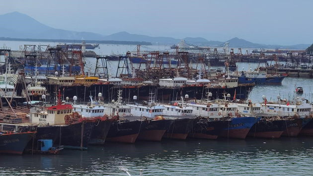 粵重點打擊違反休漁制度的捕撈行為 已查獲違規捕撈船舶34艘