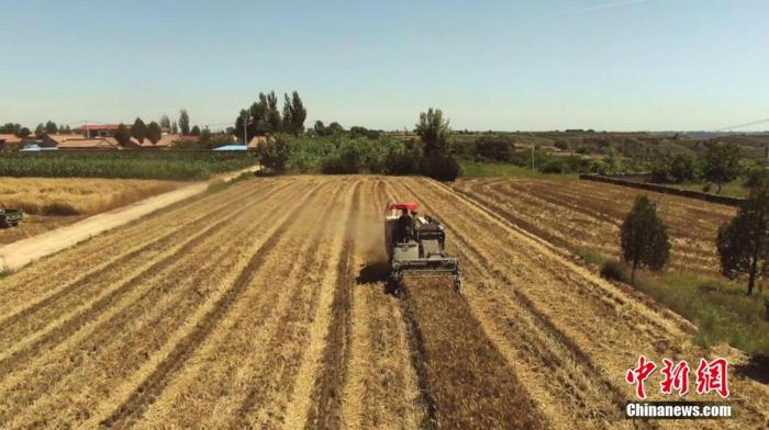 農業農村部：鼓勵社會資本投資現代種養業等產業領域