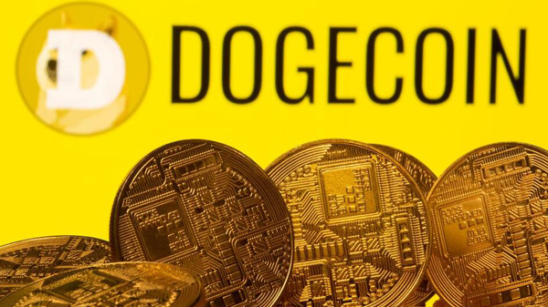 美國癌症協會將接收狗狗幣捐款 以紀念去世開發者