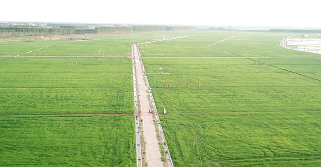 廣東推進實施新一輪墾造水田 到2023年全省再完成墾造水田不少於15萬畝