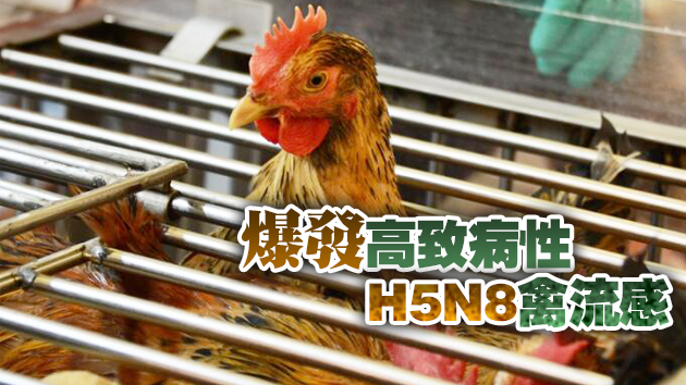 本港暫停進口波蘭部分地區禽肉及禽類產品