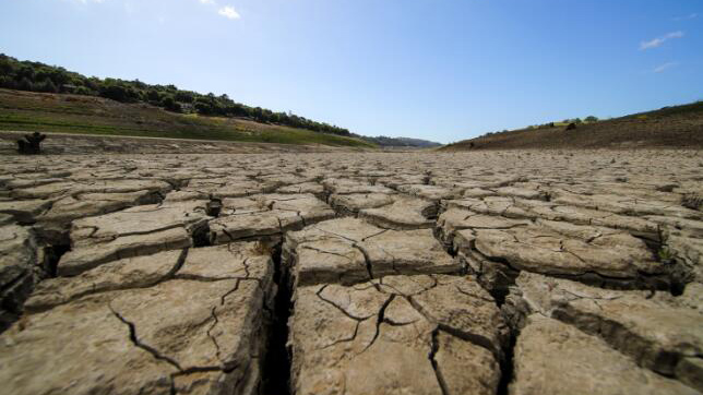 天災+人禍 美國加州或迎史上最乾旱一年