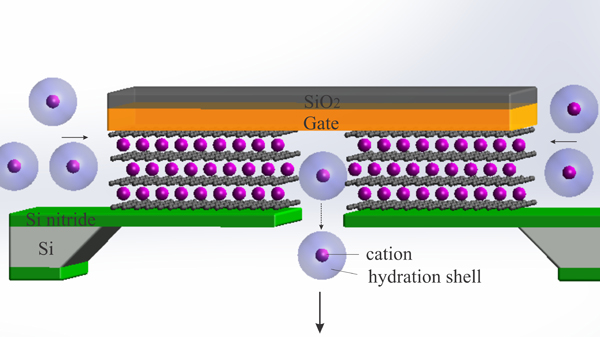 張翔領導研究團隊實現首個原子尺度的人工離子晶體管