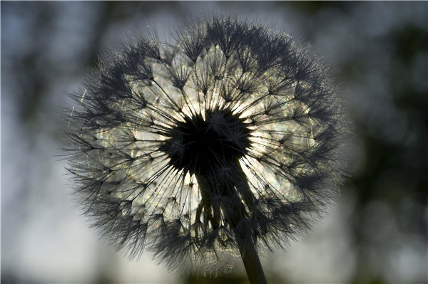 圖集 | 環球一日（2021.05.11）