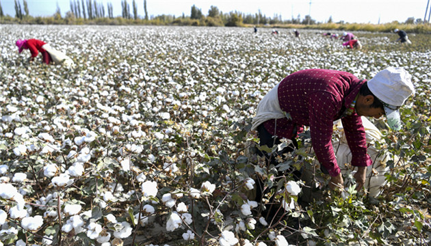 炮製涉疆謊言的幕後黑手遭起底 反華勢力到底如何在運作？