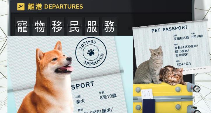 寵物移民報價差異大 消委會提醒消費者評估收費是否合理