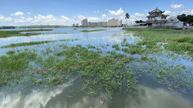 台灣受高溫乾旱影響農損近6億元新台幣