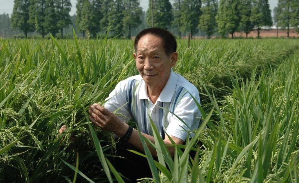有片｜請記住這位讓中國人「端牢飯碗」的英雄 送別袁隆平！