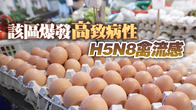 本港暫停進口波蘭奧波萊省Prudnicki區禽肉及禽類產品