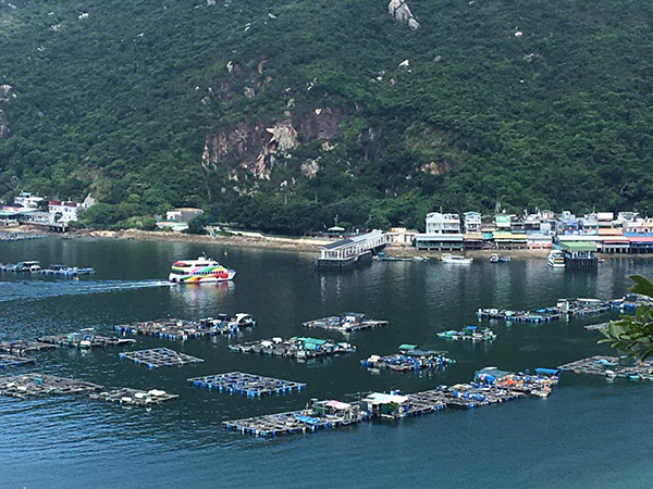 2萬賞你遊名額鼓勵市民接種