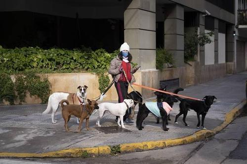 為防控狂犬病 美國將暫停進口來自113個國家的狗