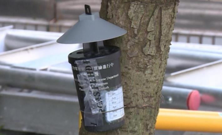 五月份白紋伊蚊誘蚊器指數維持二級水平