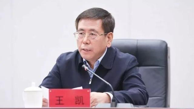 王凱當選河南省長