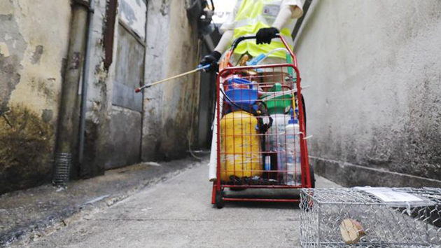 新社聯促食環加強滅鼠防疫