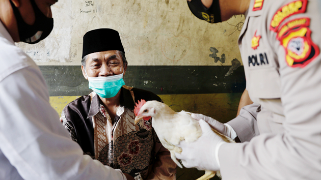 有片｜印尼「谷針」出奇招 長者接種送活雞