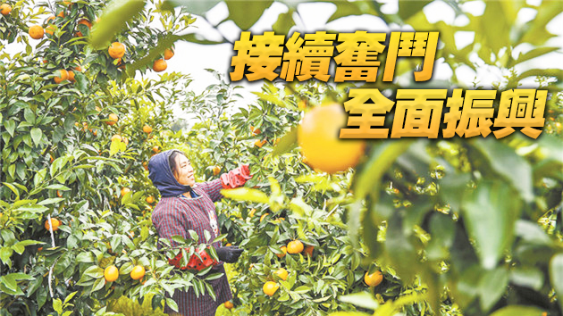 偉大戰役的廣東篇章——廣東省全面打贏脫貧攻堅戰