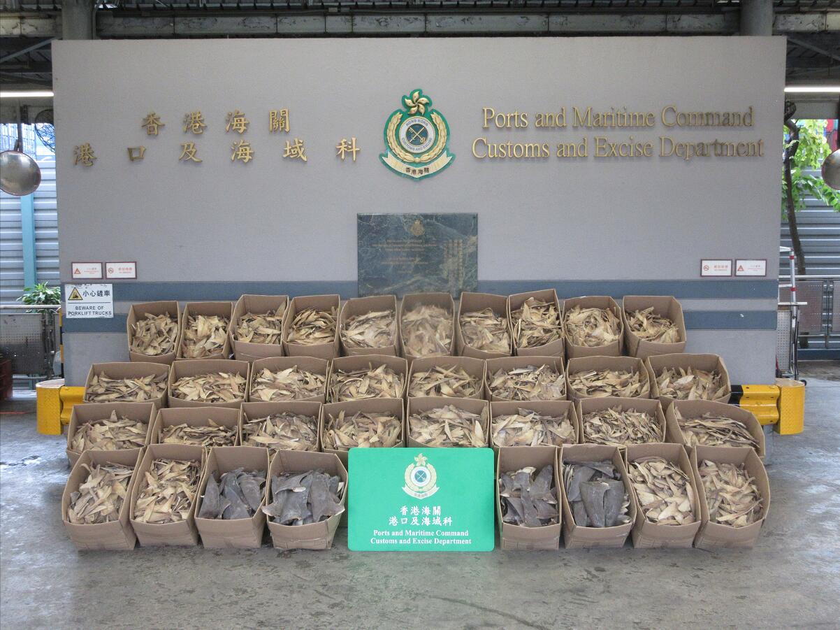 海关在幾内亚抵港货柜检400万元受管制乾鱼翅
