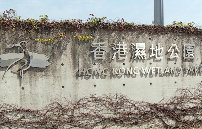 香港濕地公園因暴雨暫停開放 警告信號解除後兩個小時會重開
