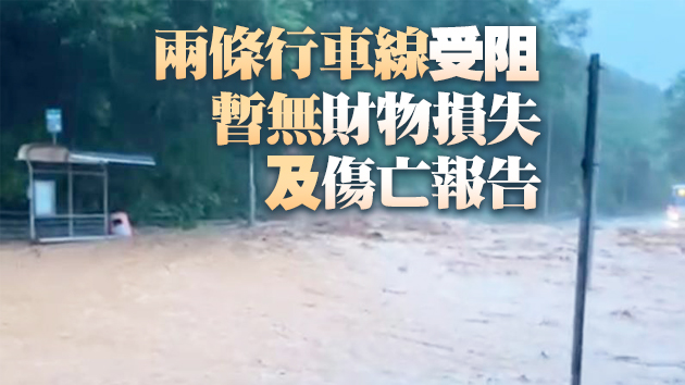 有片丨大嶼山及長洲因暴雨發生山泥傾瀉