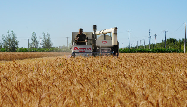 中國已牽頭制定四項糧食國際標準 發揮標準引領作用