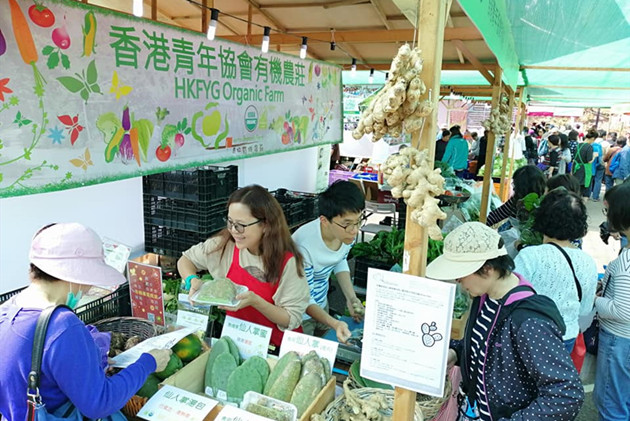 青協本周六啟動《中國歷史文化周》