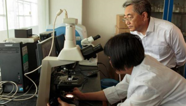 WHO官宣认证中国已消除疟疾