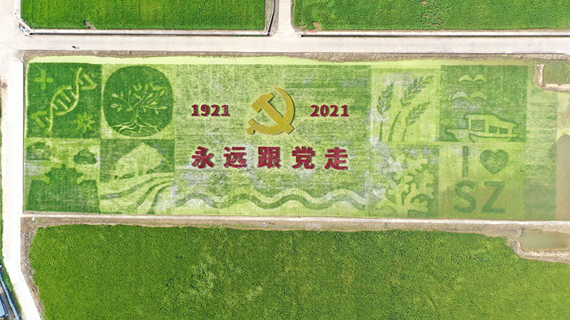 【中共百年 深圳故事】深圳7000平方米大地畫卷對黨「表白」