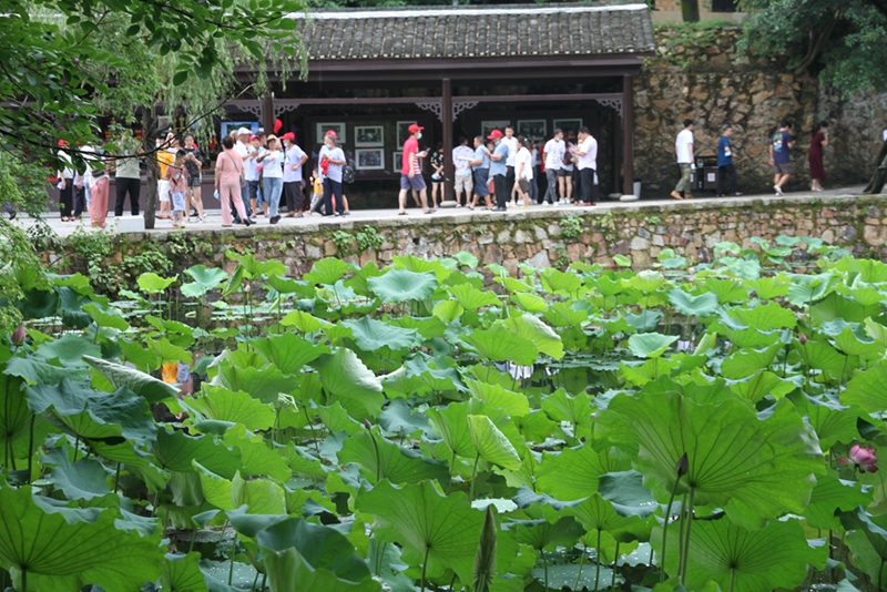 「瀟湘紅」+「紅色專列」，湖南讓紅色資源動起來