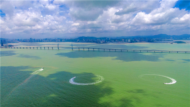 粵多部門在港珠澳大橋聯合巡航獻禮建黨百年華誕