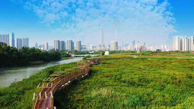 深圳全市均為低風險地區 出省無需核酸證明