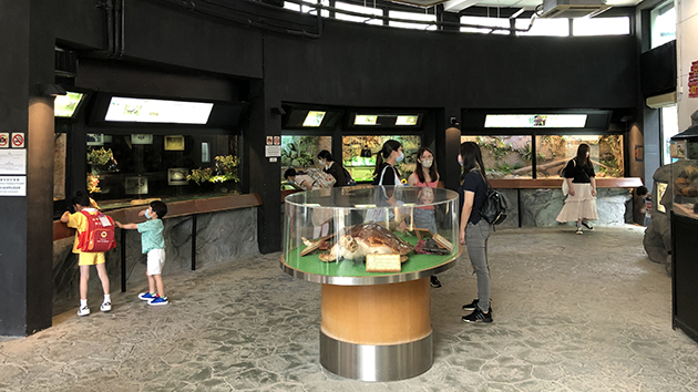 圖集｜屯門公園爬蟲館：有約52隻活展品