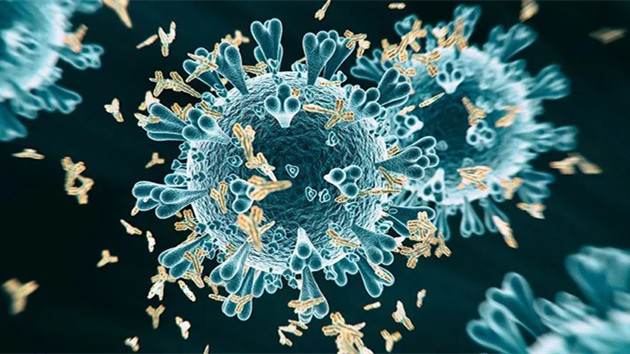 中國生物：逾70%新冠康復者12個月內抗體仍呈陽性