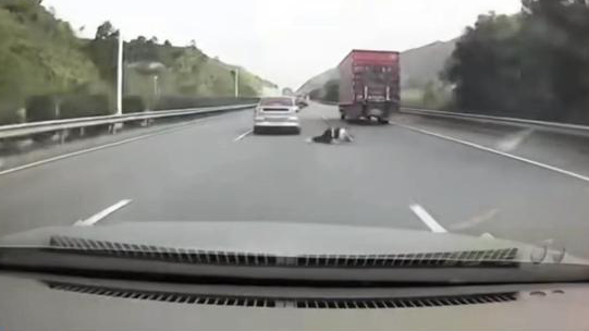 有片 | 廣東一網約車乘客高速上跳車!警方最新通報!