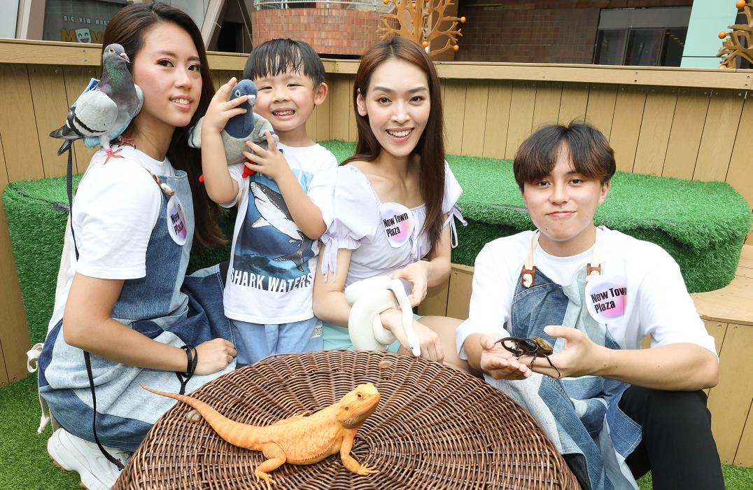 【玩樂】新城巿廣場推城の動植物公園 小朋友親密接觸球蟒變色龍