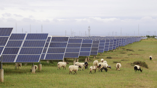 國家發改委：加快構建碳達峰碳中和「1+N」政策體系