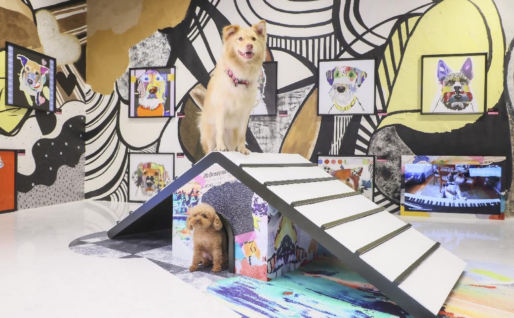 【玩樂】帶毛孩一齊睇！北角匯推狗狗當代藝術館 展50幅汪汪畫作