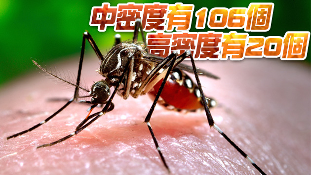 警惕登革熱！廣東這些地方伊蚊密度最高