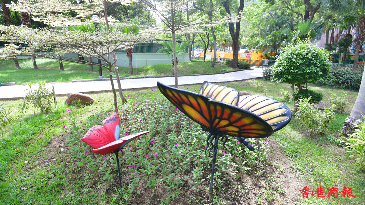 圖集｜屯門蝴蝶灣公園：周末放鬆好地方