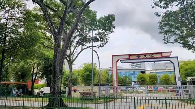 新加坡發生校園血案 16歲男生涉用斧頭斬死同學