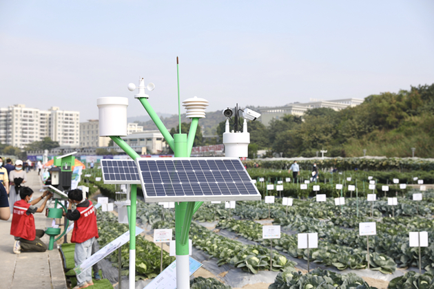 實施粵強種芯工程 廣東省種業集團成立
