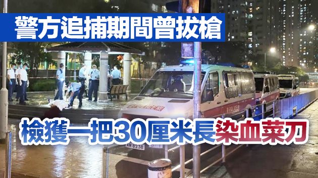 屯門七旬翁倒斃公園 一男子涉謀殺被捕