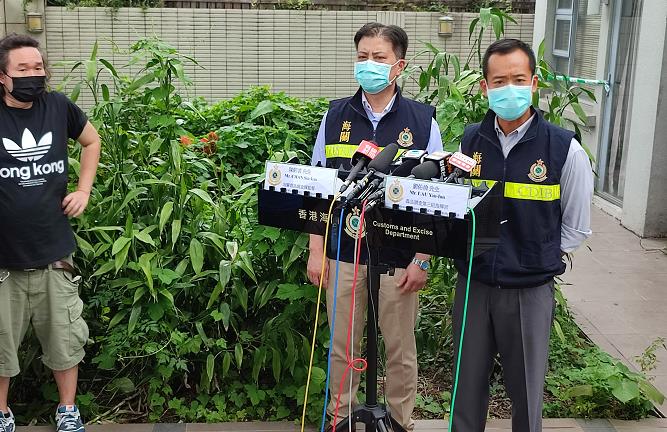 海關搗破歷年來最大大麻種植場 檢7000萬元大麻拘一人