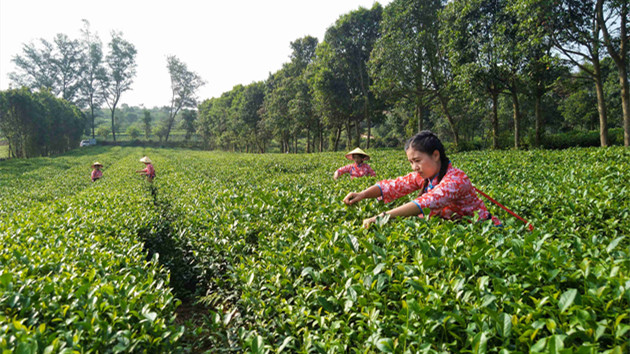 灣區創業空間大：在深港青談「十四五」規劃 