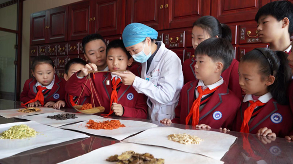 河北內丘縣「中藥材產業助力鄉村振興發展」系列報道之一：深入挖掘扁鵲中醫藥文化 大力發展中藥材產業