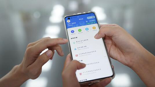 「指尖秒辦」！港澳台居民和內地赴澳務工人員參保繳費更方便