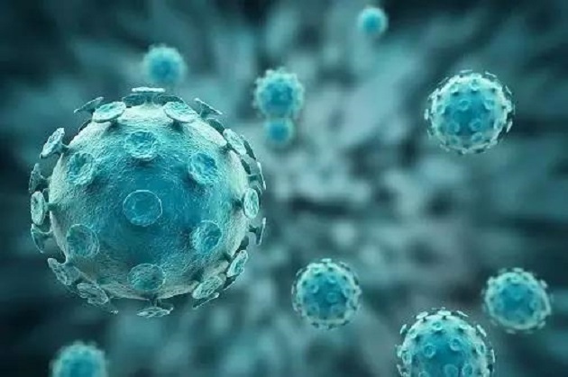 港大生物學家發現由細菌產生的卷曲澱粉樣蛋白促使神經退化