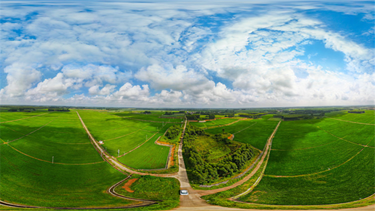 粵投五千多億建農業農村現代化