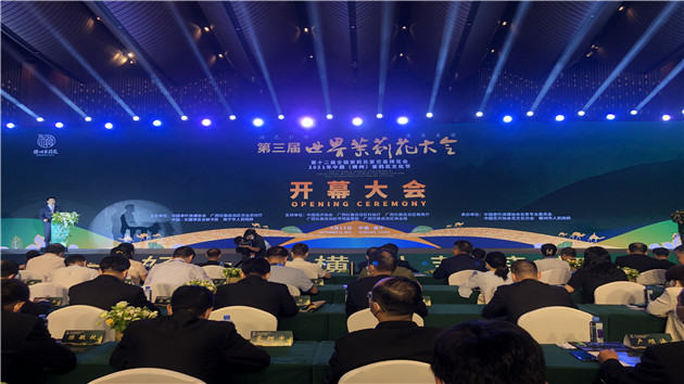 桂橫州欲打造世界茉莉花產業中心